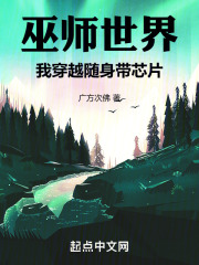 巫师带芯片的小说