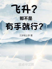 飞升?那不是有手就行?