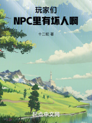 npc眼里的玩家