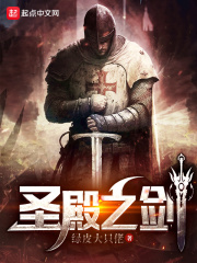 圣殿之剑 书评