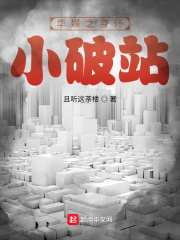 华娱之身怀小破站起点