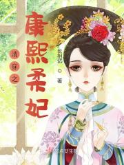 清穿康熙柔妃小说