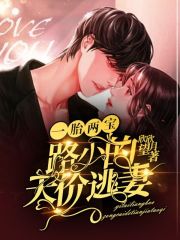 一胎俩宝帝少的天价老婆