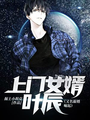 上门女婿叶辰免费全文阅读完整版 小说