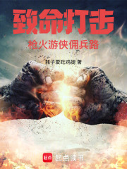 致命打击:枪火游侠佣兵路小说笔趣阁