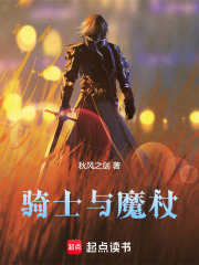 《骑士与魔法》