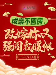 成亲不圆房,改嫁你又强闯我暖帐免费
