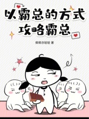 以霸总的方式攻略霸总