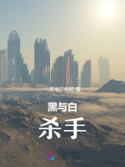 黑与白电视