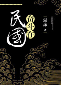 奋斗在民国 小说