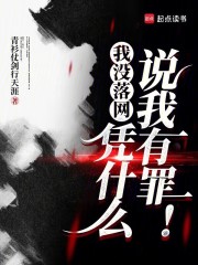我没落网,凭什么说我有罪!小说