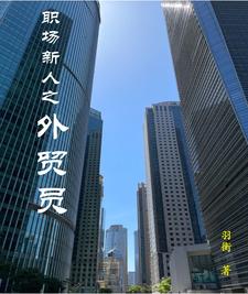 职场新人之外贸员小说