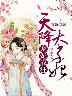 天降宠妃 小说