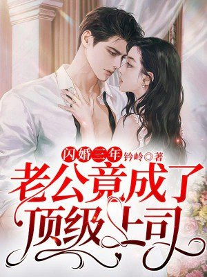 闪婚丈夫竟是总裁大人
