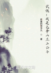 武侠:我是无争山庄二公子 小说