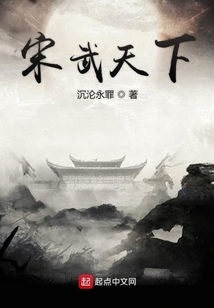 宋武天下小说下载