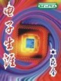 电子生涯发展报告
