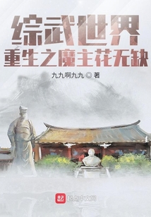 重生综武世界的小说