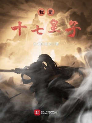 我是十七皇子笔趣阁