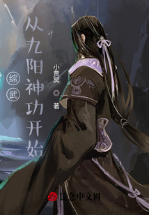 综武从九阳神功开始小贾冥