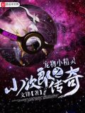 宠物小精灵之小次郎传奇女主