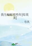 综英美我当蝙蝠那些年格格党