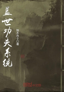 盖世功夫系统