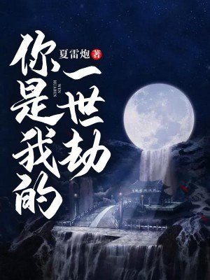 你是我一世红尘梦小说