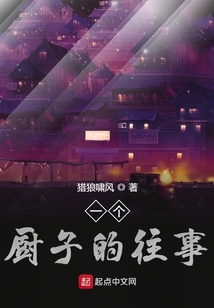 一个厨子的往事小说