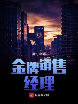 金牌销售经理主要写了什么