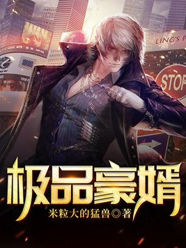 极品豪婿第16集