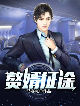 赘婿征途第二部