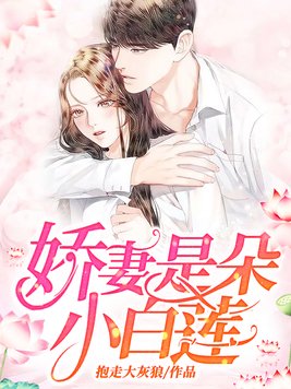 娇宠白莲花小说