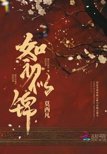 如初似锦下载