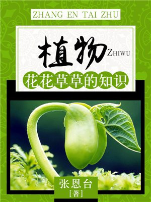 花花草草是植物吗