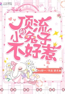 顶流作者不好惹 小说