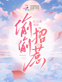 偷偷招惹小说