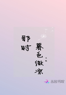 那时暮色微凉 小说