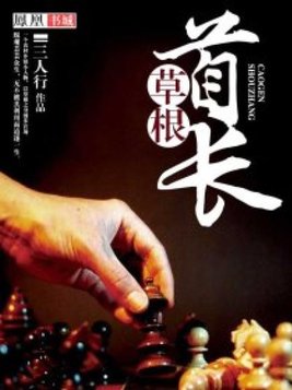 草根崛起王一帆 小说