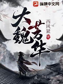 大魏芳华 TXT下载