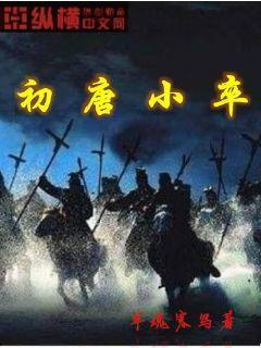 初唐小卒笔趣阁