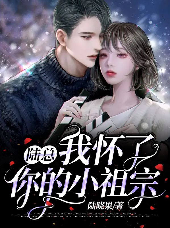 陆总,我怀了你的小祖宗全集