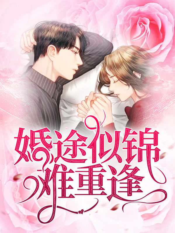婚途似锦难重逢