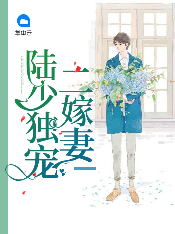 独宠陆少的二婚夫人