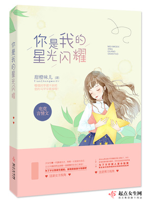 你是我的星光闪耀 小说