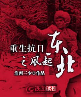 重生抗日之风起东北 小说