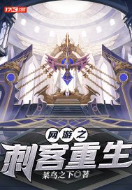 网游之刺客重生 小说