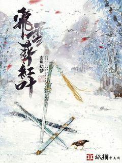 飞雪葬红叶好看吗
