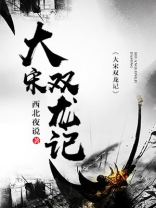 医林志1:双龙记