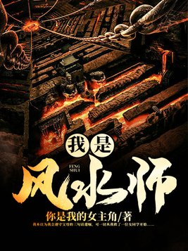我是风水师已完结